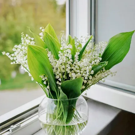 منزل للإقامة Master Bedroom With Ensuite